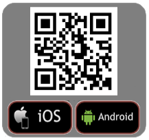 Download Cubic Castles